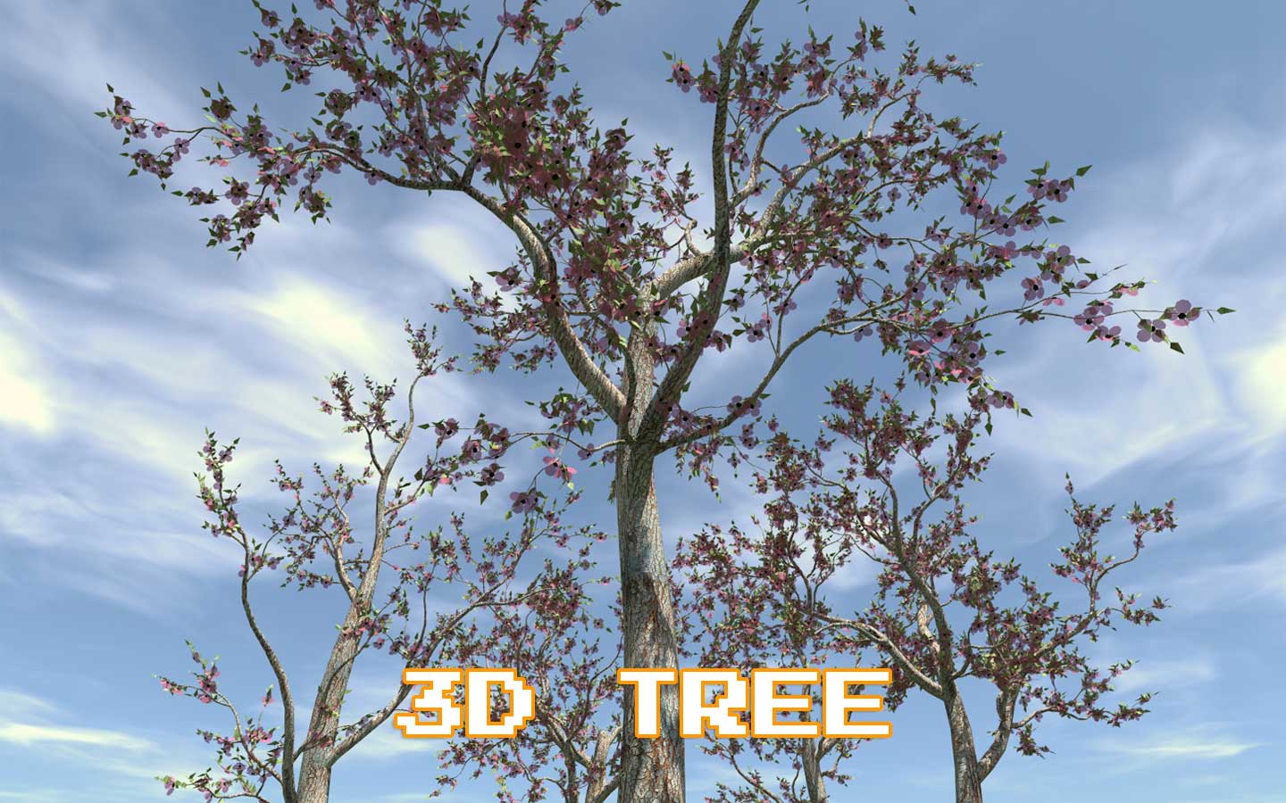 3D Tree info picture